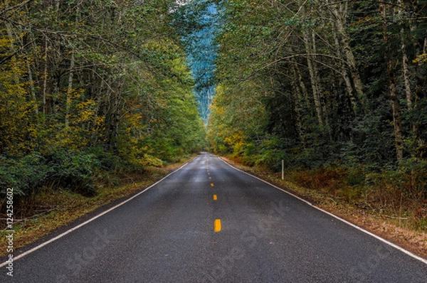 Fototapeta OLYMPUS DIGITAL CAMERA