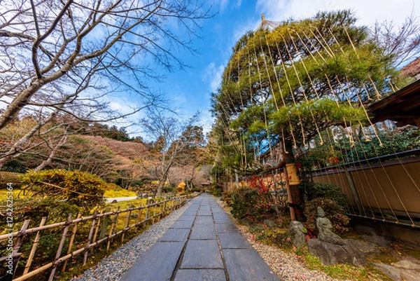Fototapeta 晩秋の円通院・雲外天地の庭(宮城県宮城郡松島町)