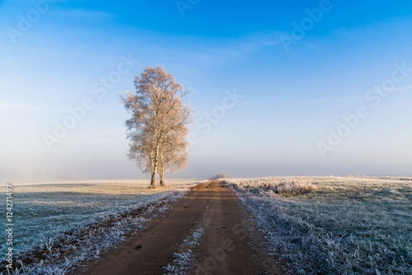 Obraz Podlaskie drogi