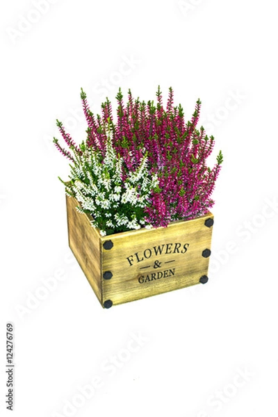 Obraz Blumen und Garten