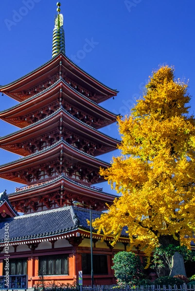 Obraz 浅草寺
