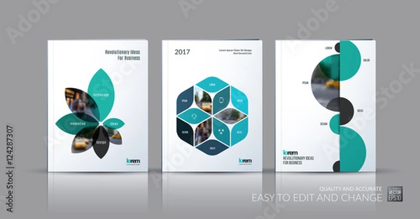 Fototapeta Brochure template layout collection, cover design annual report,