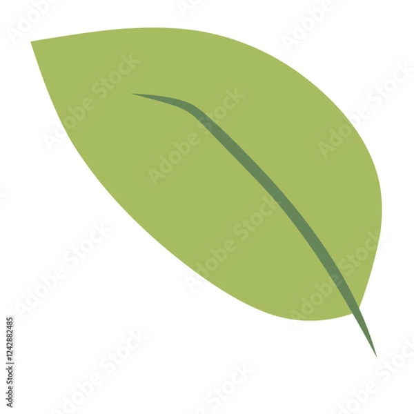 Obraz green leaf vector