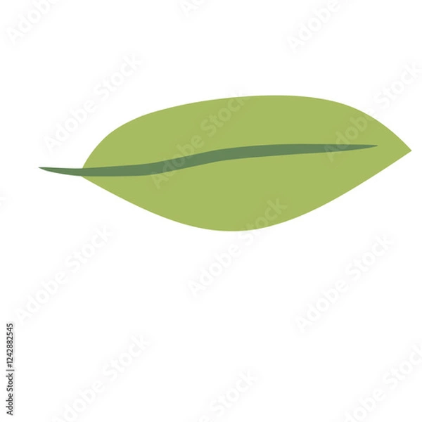 Obraz green leaf isolated on white