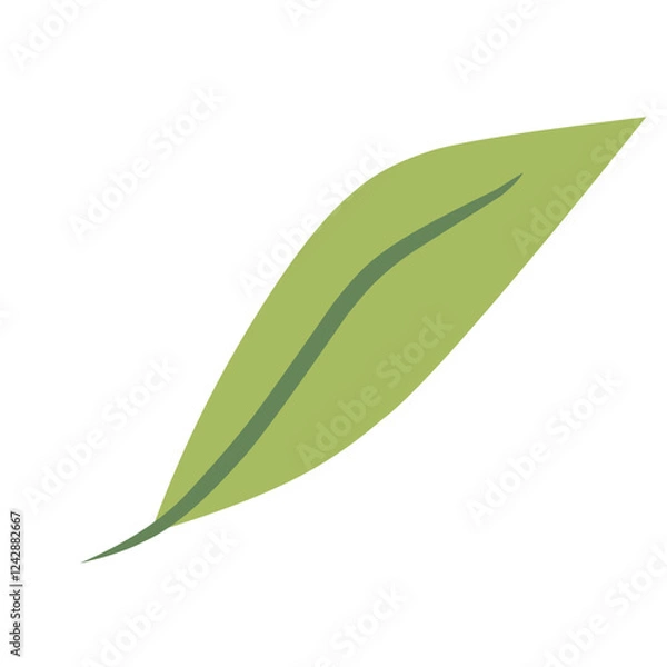 Obraz green leaf isolated on white