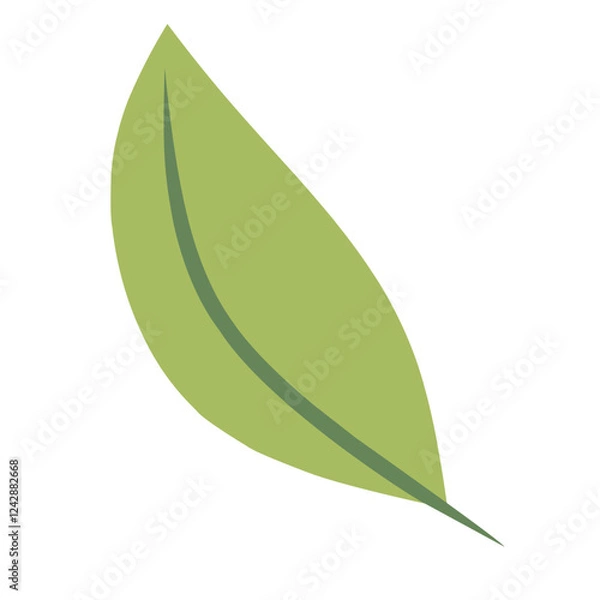 Obraz green leaf isolated on white