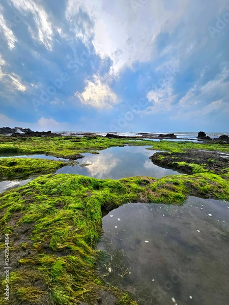 Fototapeta landscape with river and sky
