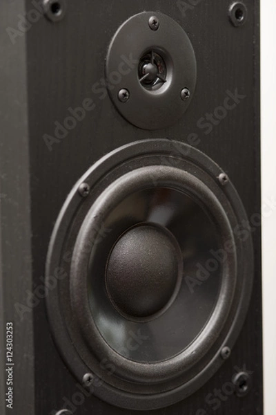 Obraz two way speaker system