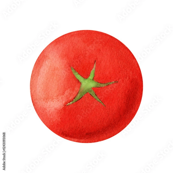 Obraz A single cherry tomato with delicate shading, illustrated in watercolor. Great for organic market branding, fresh vegetable packaging, natural food promotions, and farm-to-table concepts
