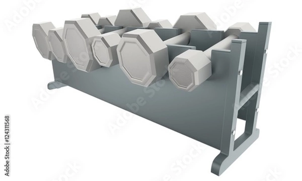 Obraz Weights on Rack