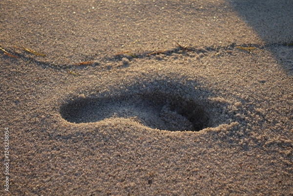 Obraz Human footprint in he sand on the beach