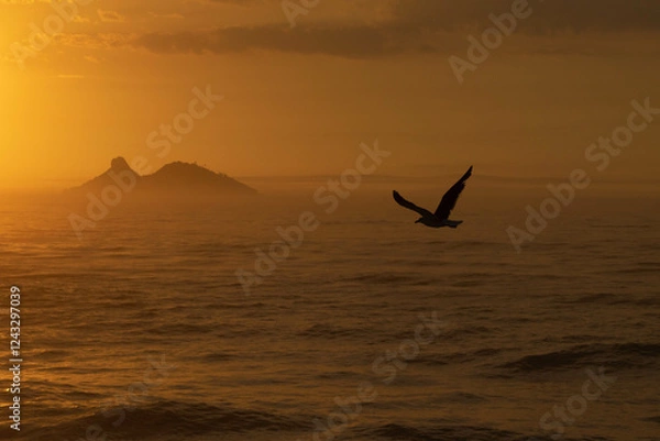 Obraz bird at dawn 3