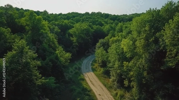Fototapeta Aerial perspective of a winding dirt road surrounded by lush trees in a serene forest setting, showcasing nature's beauty and tranquility.