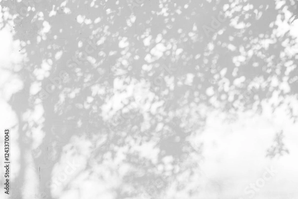 Obraz trees branch and leaf with shadow on a white concrete wall. Leaf pattern. Blurred background.