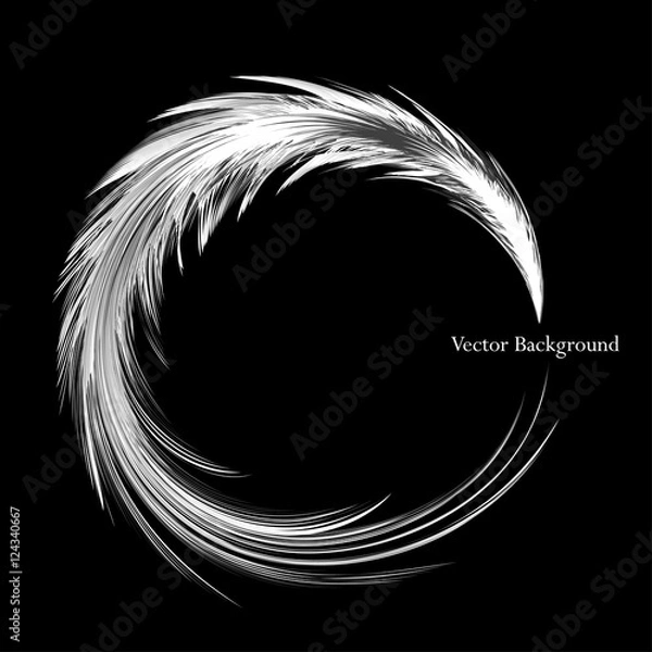Fototapeta feather nice background