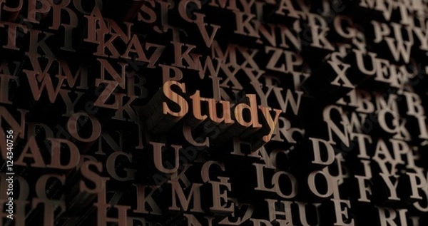 Obraz Study - Wooden 3D rendered letters/message.  Can be used for an online banner ad or a print postcard.