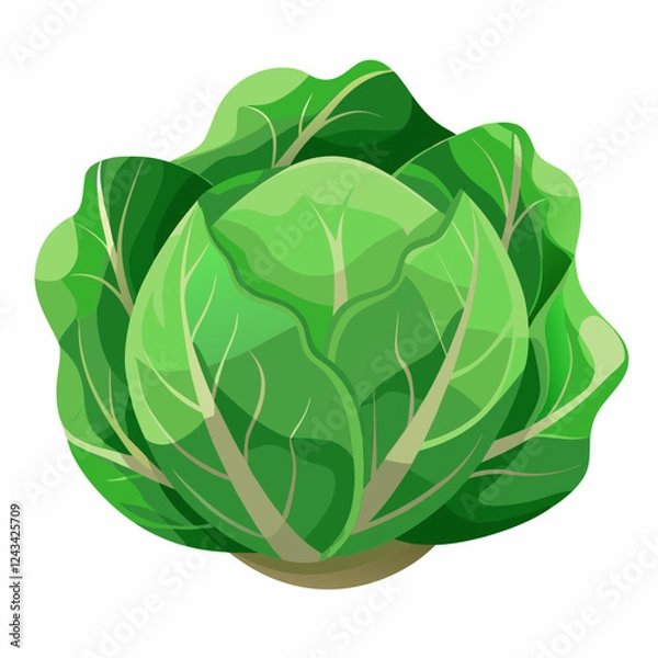 Fototapeta Cabbage isolated white