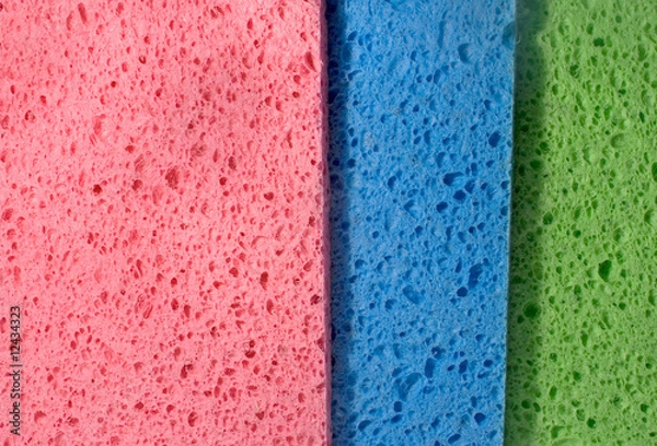 Fototapeta Multicolor sponge texture, close-up