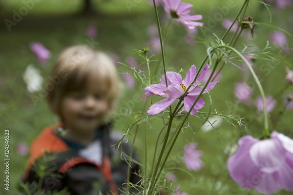 Obraz harrison in flowers