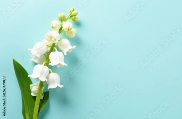 Fototapeta White lily of the valley on blue background with space for text, card template