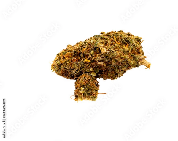 Fototapeta Marijuana Bud Grass isolated on white background