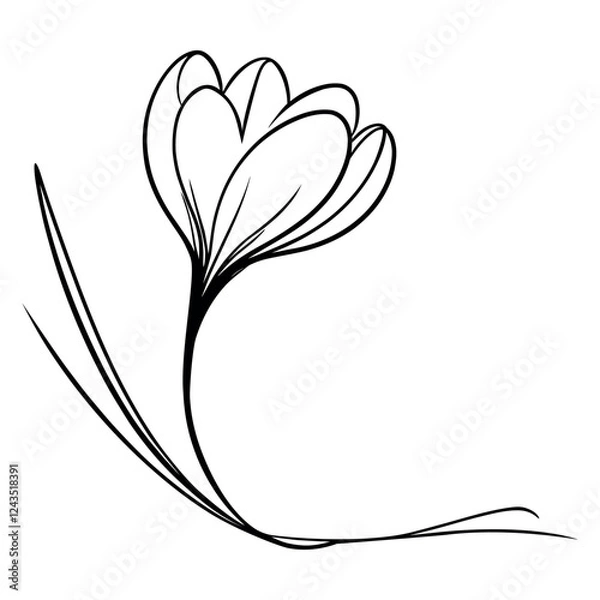 Fototapeta One continuous line drawing of a crocus. Printed decorative crocus flower for invitation. Vector illustration