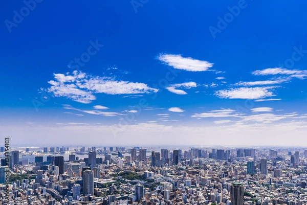 Fototapeta 東京　青空と都市風景