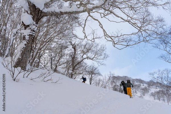Obraz 羊蹄山　山スキー　登高

