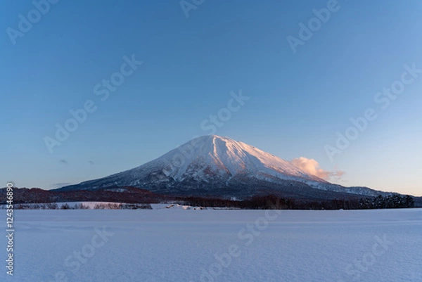 Obraz 冬の羊蹄山　倶知安町より