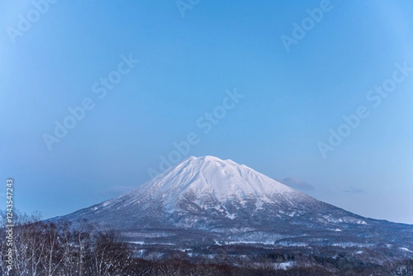 Obraz 冬の羊蹄山　ニセコ町ヒラフより
