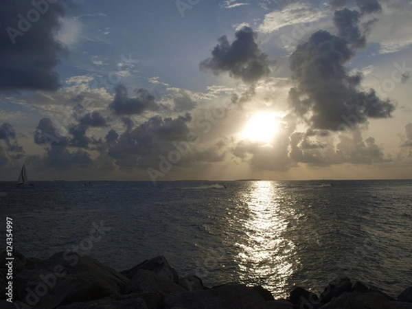 Fototapeta OLYMPUS DIGITAL CAMERA