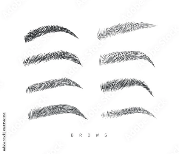 Obraz Eyebrows collection set in different shape form drawing with black on white background