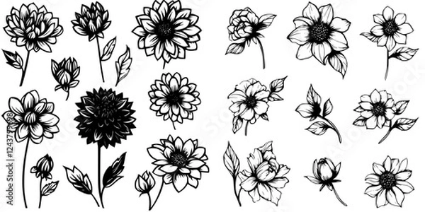 Fototapeta Collection of detailed black and white floral illustrations showcasing various flower types and designs in diverse styles