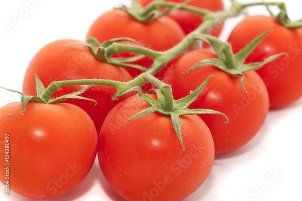 Obraz Big Red Tomatoes in a Vine on White Background