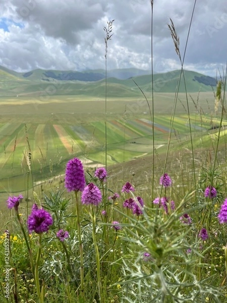Obraz Wildblumen vor Landschaft