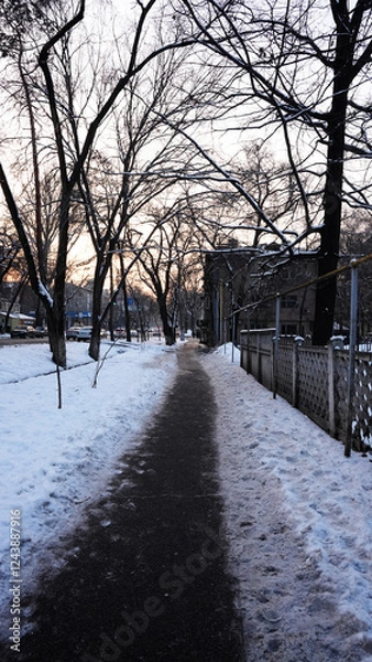 Obraz winter road in the park