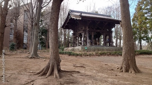 Obraz 日本寺院風景