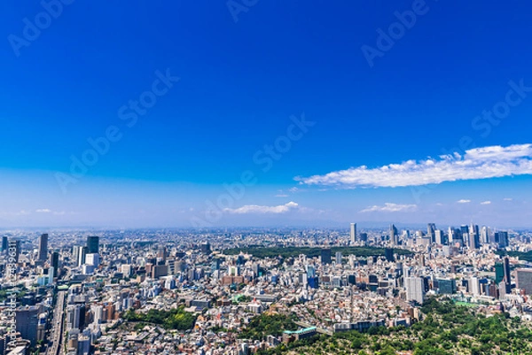 Fototapeta 東京　青空と都市風景