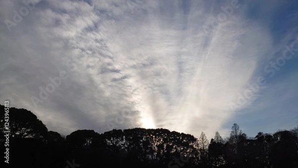 Obraz 日本の寺院風景