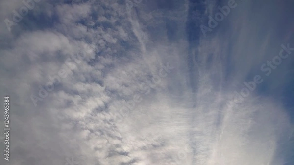 Obraz 日本の寺院風景