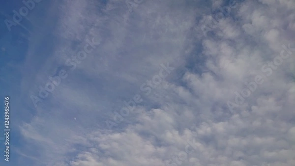 Obraz 日本の寺院風景