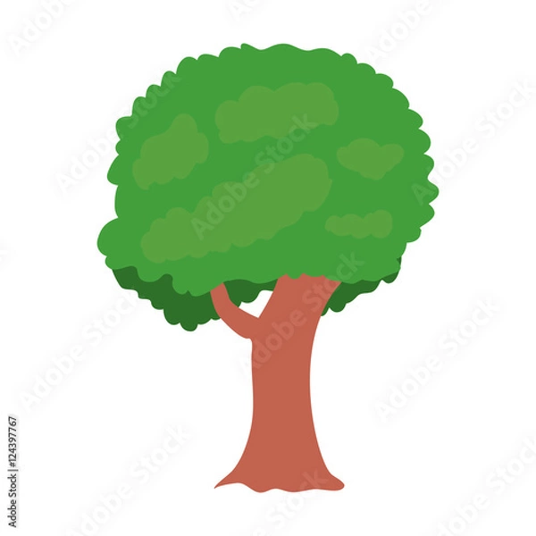 Obraz green tree tall natural plant and brown trunk. vector illustration