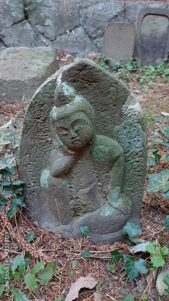 Obraz 日本の寺院庭園