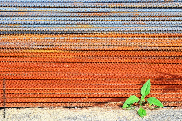 Fototapeta Steel bars for building structures were piled up in layers at the construction site until they rusted.