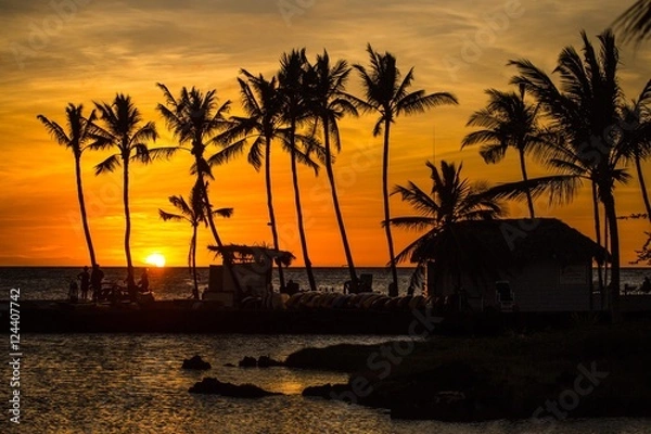 Fototapeta Sunset with coconuts