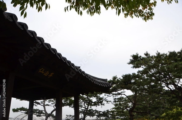 Obraz 한강 선유도공원