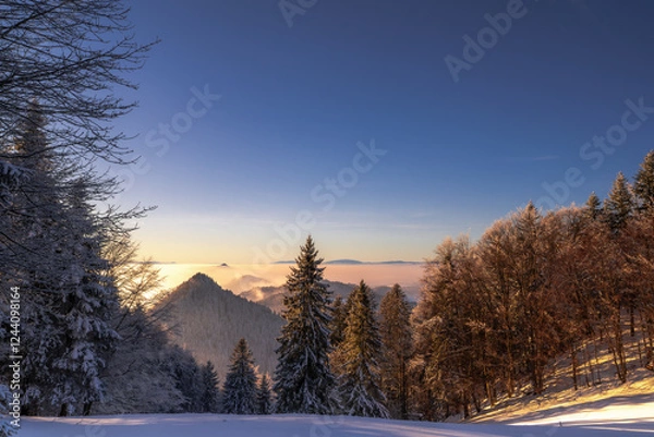 Fototapeta Pieniny , góry, zima, śnieg, Karpaty, mgły, Tatry, Dunajec