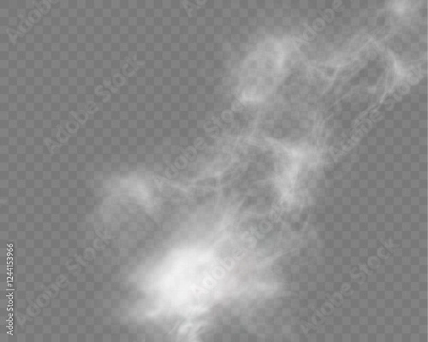 Fototapeta Realistic white smoke or mist effect with soft, swirling patterns on a transparent background. Perfect for overlays and atmospheric designs.