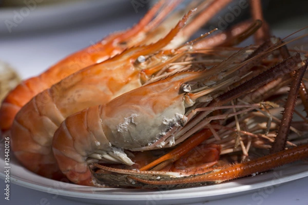 Fototapeta Grilled Prawns