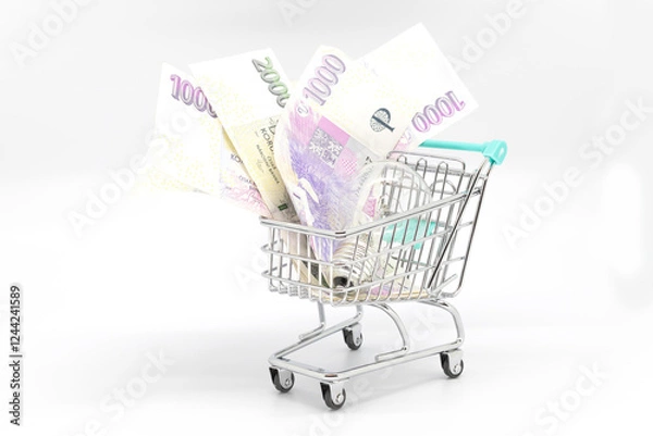 Obraz Money small shopping cart. Meal Planning budgeting. Savings on purchases. Shopping and financial saving concept.